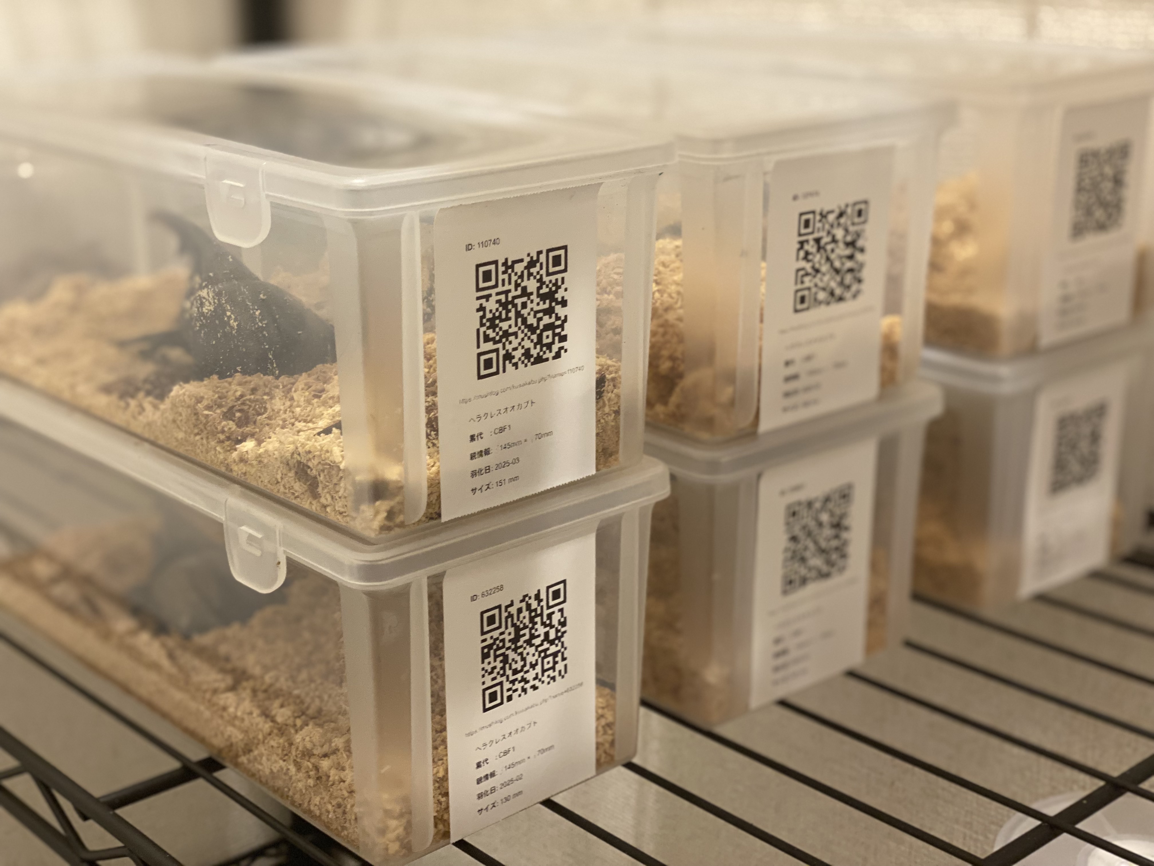 閲覧用QRコードの例