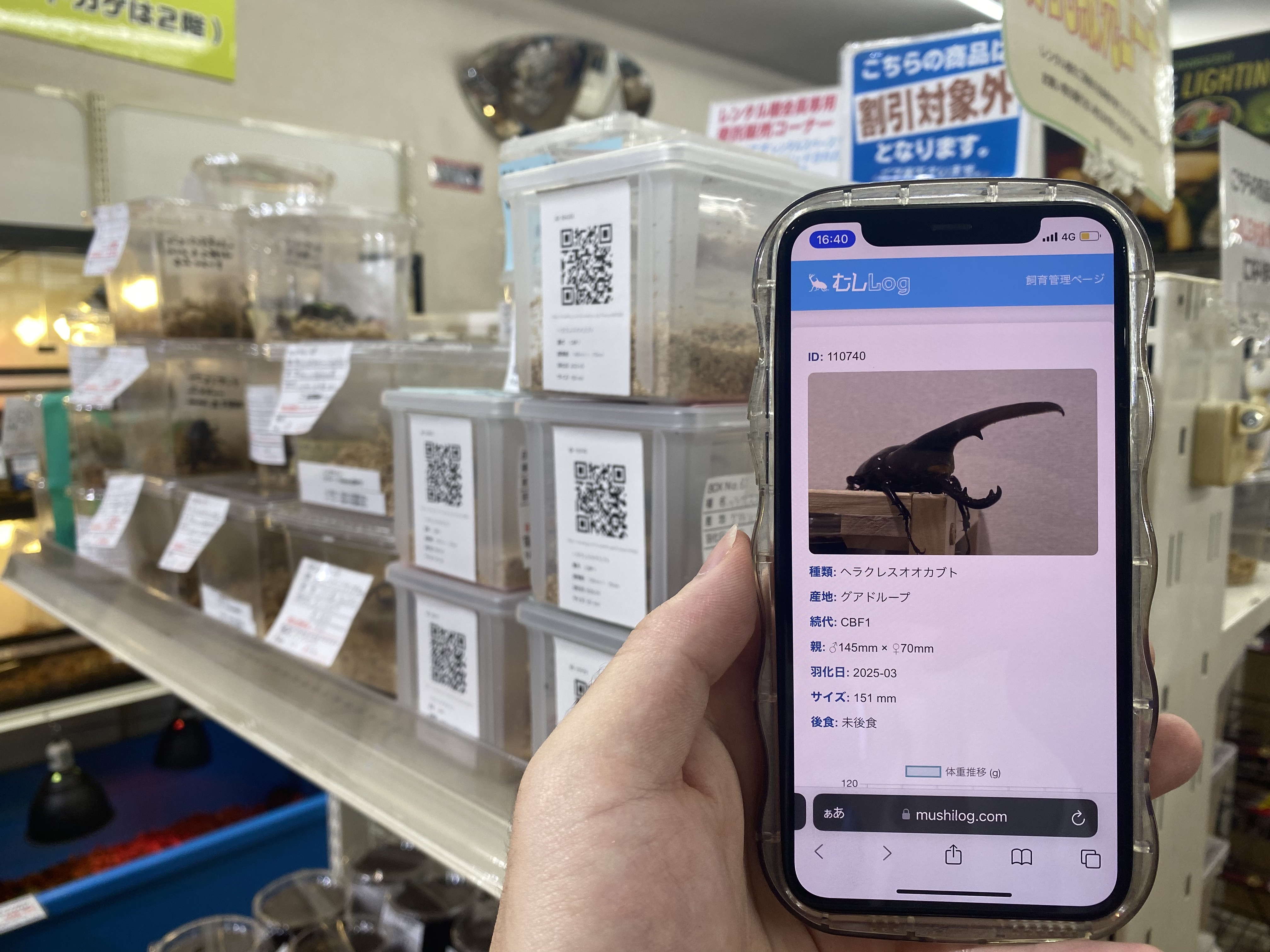 QRコード管理の流れ