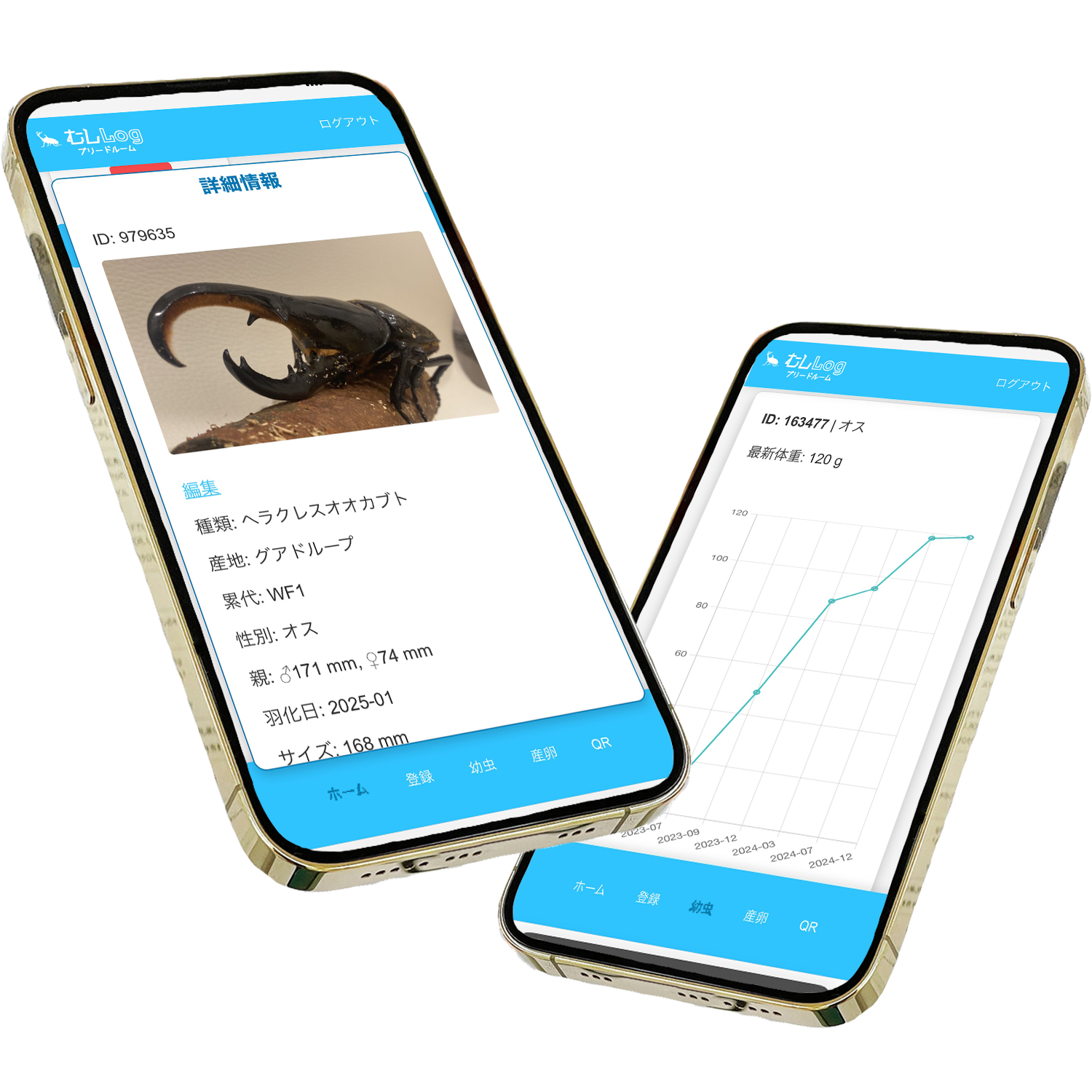 昆虫飼育管理ツール