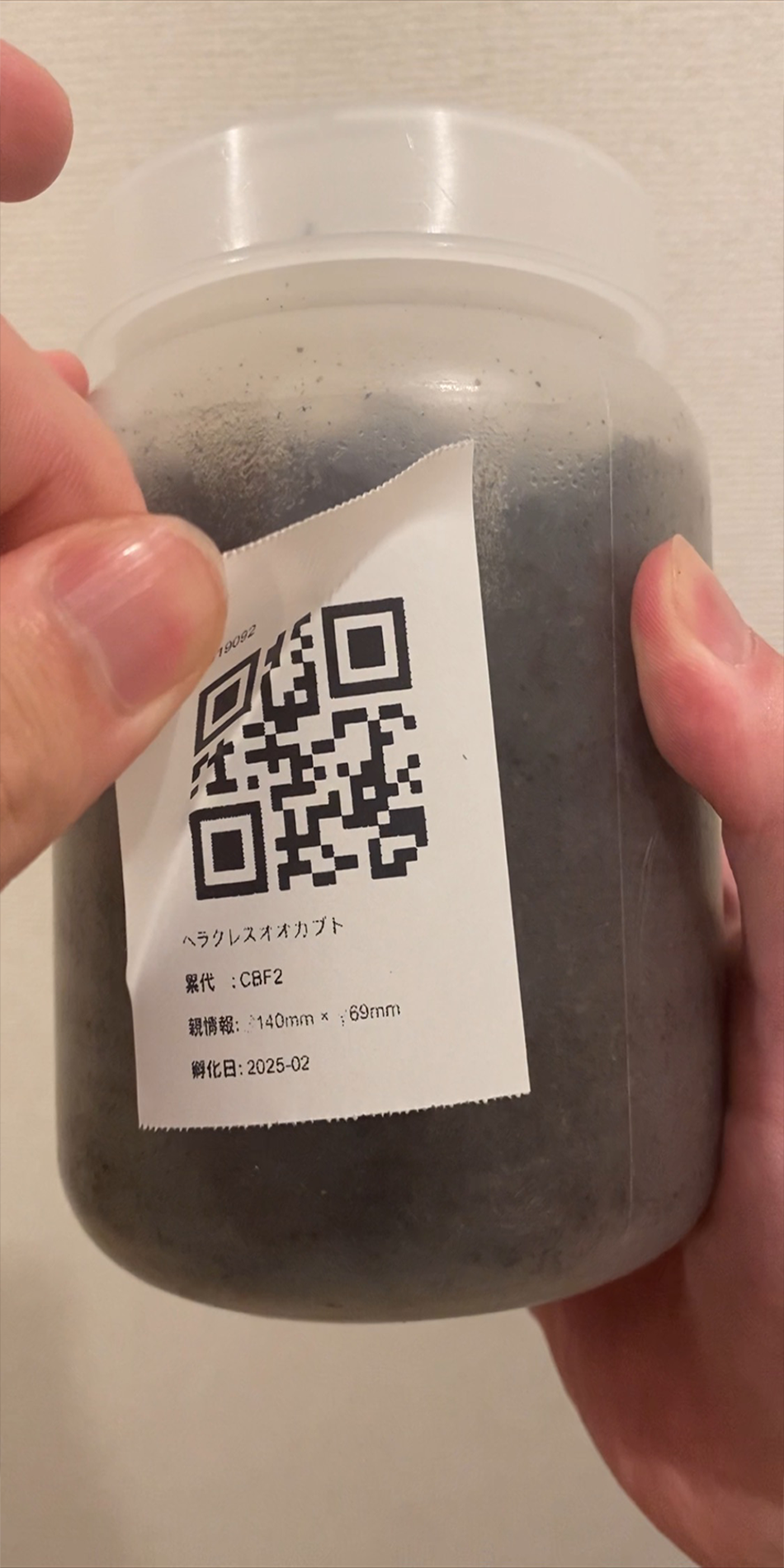 QRコードをラベルに貼る